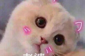 撒娇卖萌的图片