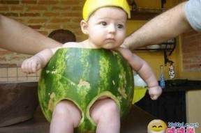 搞笑西瓜图片,萌态百出