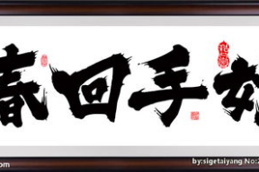 回春图片,探寻岁月逆流之美