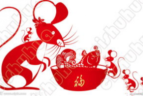 老鼠鱼图片大全大图,探寻神秘水族馆中的灵动精灵