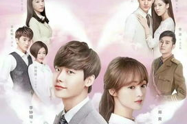 翡翠恋人演员表